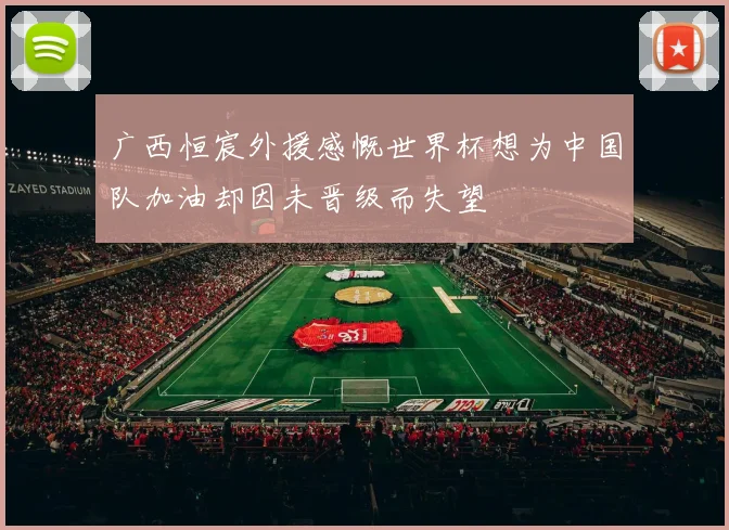 广西恒宸外援感慨世界杯想为中国队加油却因未晋级而失望