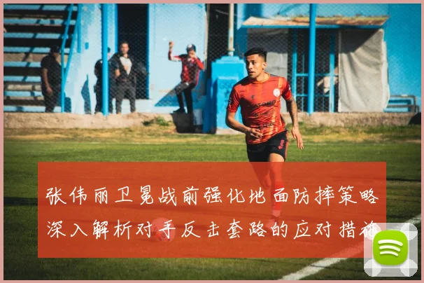 张伟丽卫冕战前强化地面防摔策略深入解析对手反击套路的应对措施
